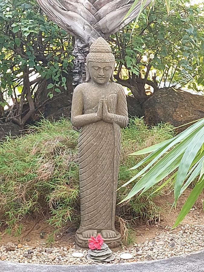 Brahmanhut - Eco Hut Experience In Harmony With Nature, Wellbeing And Spirit Bain Boeuf Luaran gambar